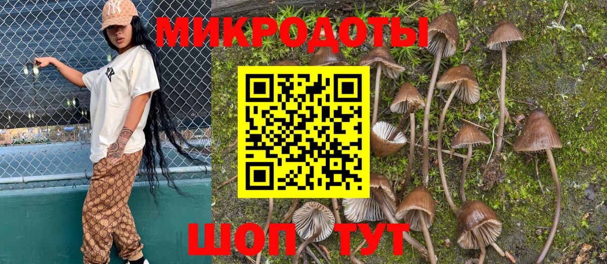 Псилоцибиновые грибы Psilocybe  Вход с VPN  Галлюциногенные грибы Magic Shrooms  Костомукша 